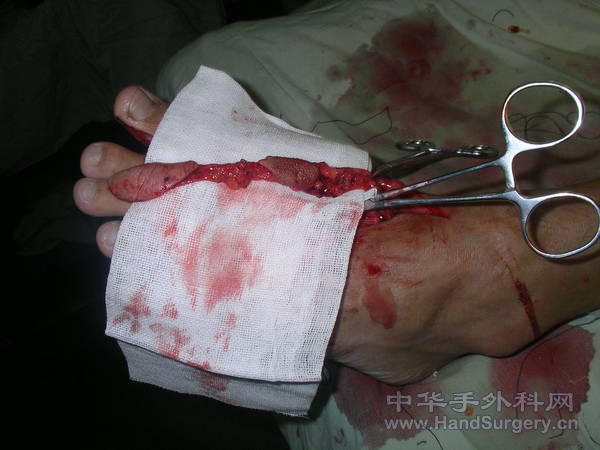 SANY7155.JPG