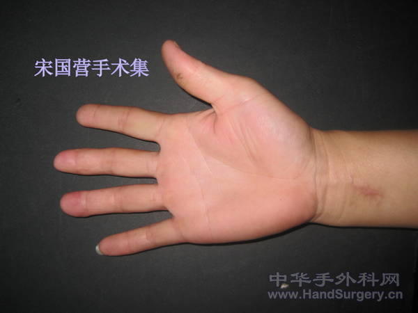 IMG_5617.jpg