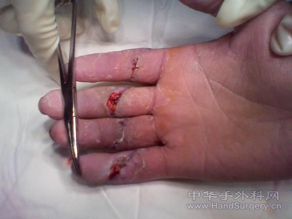 2011-01-20 11.44.02.jpg