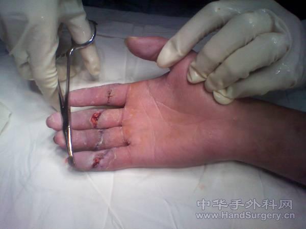 2011-01-20 11.44.09.jpg