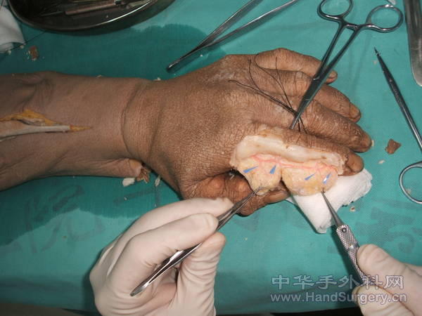DSCF2850.JPG