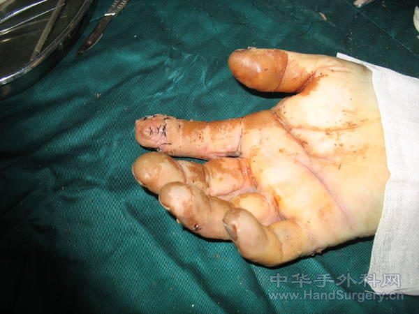 Picture 342120.jpg