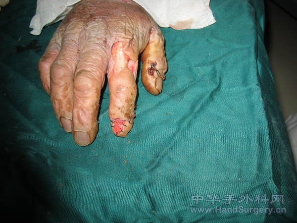 Picture 335072.jpg