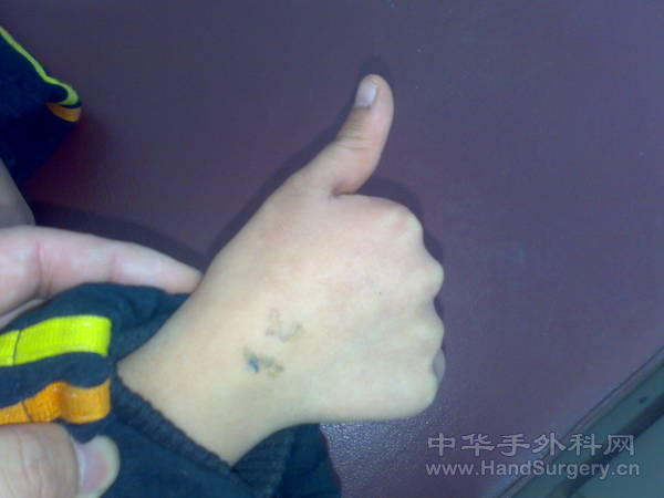 20110113206.jpg