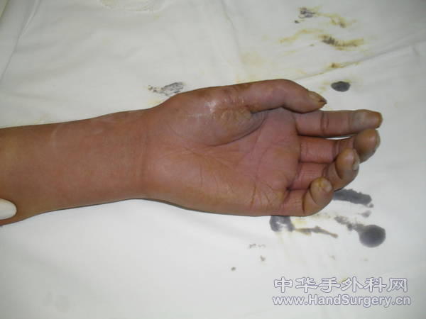 SDC11806.JPG