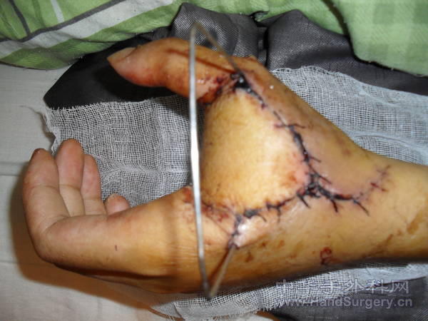 SDC11821.JPG