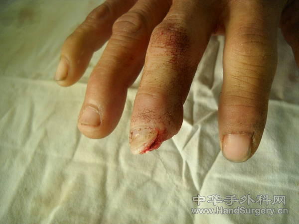DSCN0584[1].jpg