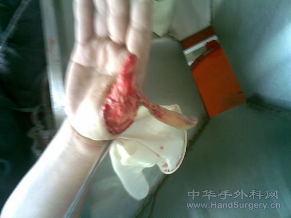 20100131(004).jpg