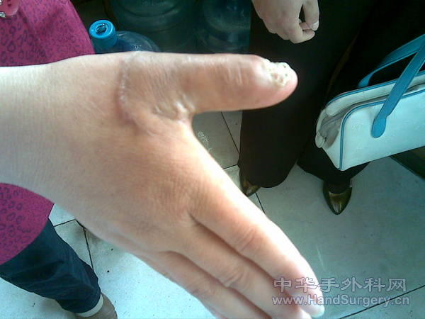 20100426.jpg
