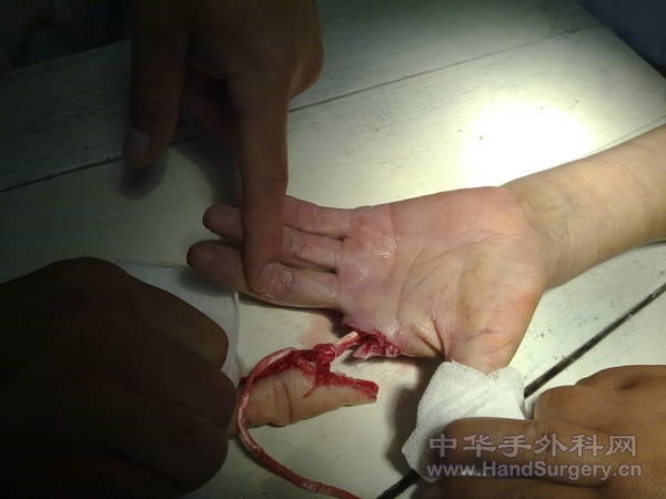 20100812006.jpg