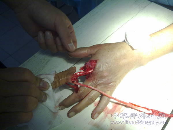 20100812007.jpg
