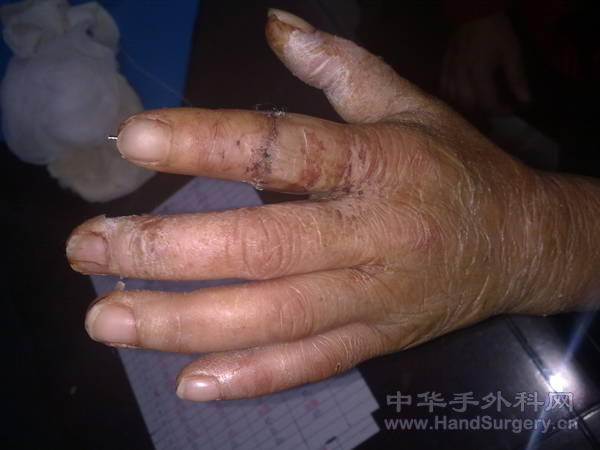 20110211343.jpg