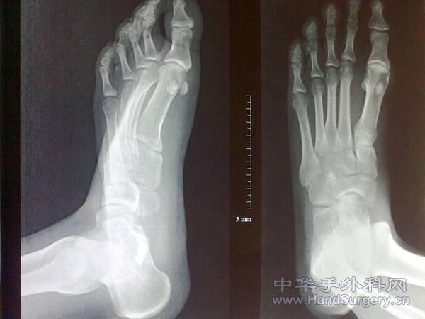 201102181124.jpg
