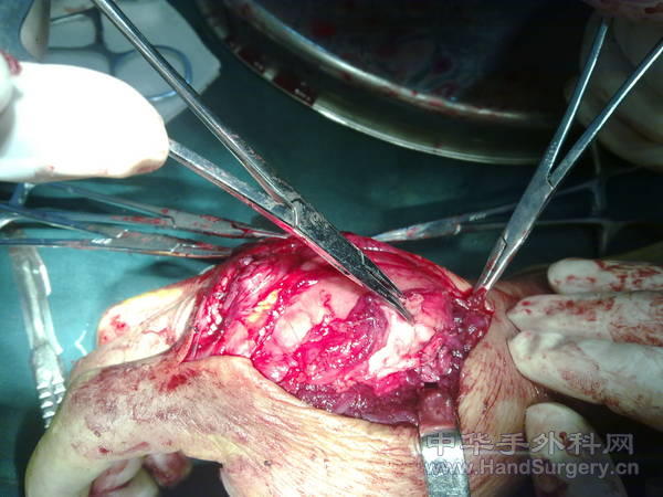 20110121066.jpg