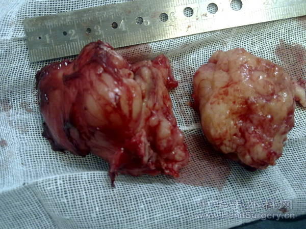 20110121070.jpg