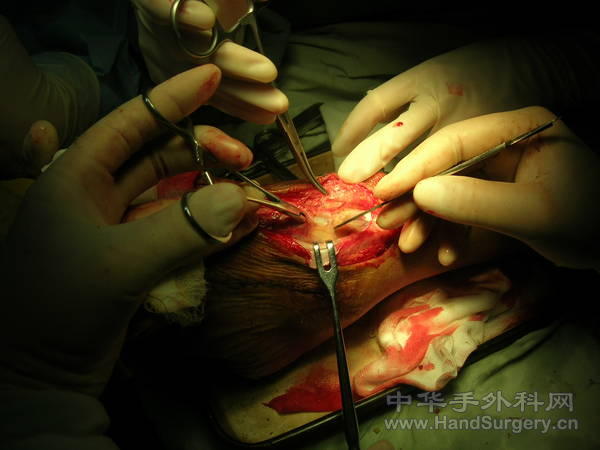 DSCN1514.JPG
