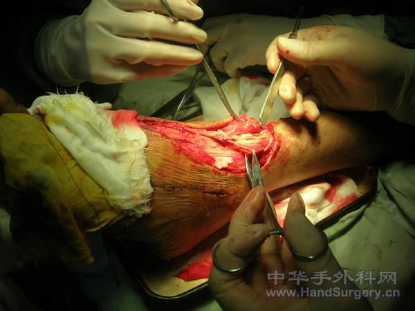DSCN1516.JPG