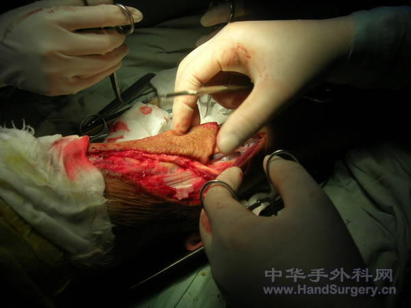 DSCN1517.JPG