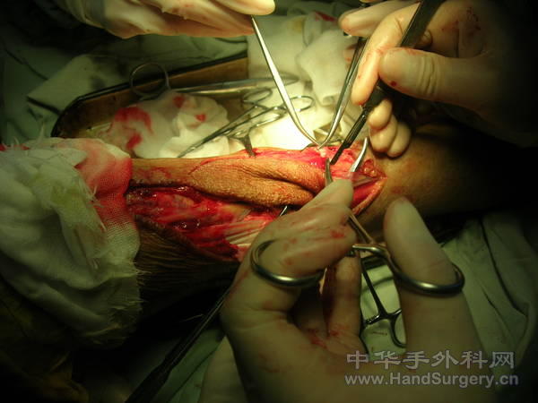 DSCN1521.JPG