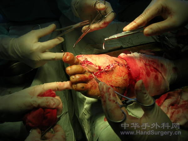 DSCN1533.JPG