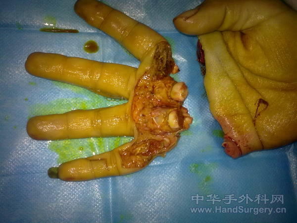 照片 030.jpg
