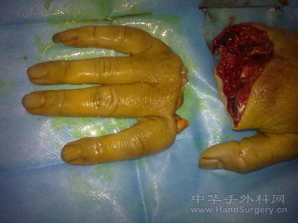 照片 031.jpg