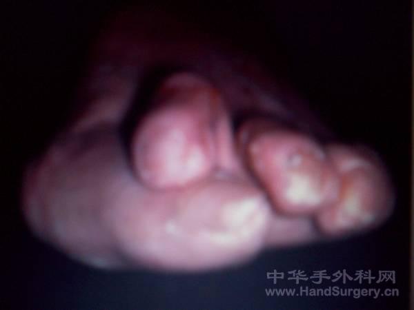 100_1048.JPG