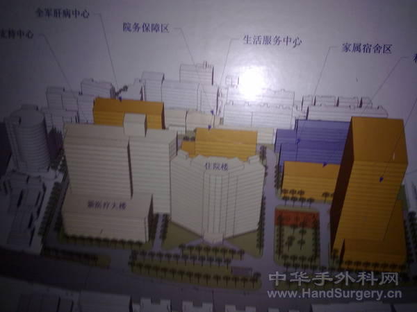20110216081.jpg