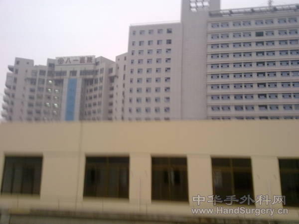 20110216082.jpg