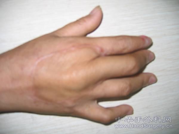 8.gif
