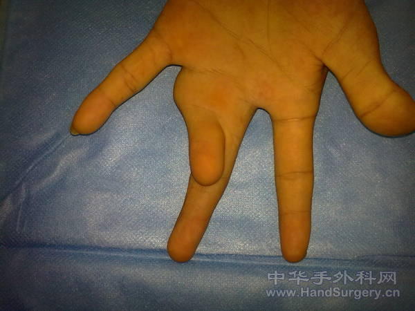 照片 117.jpg