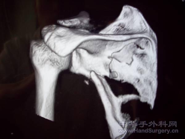 照片 057.jpg