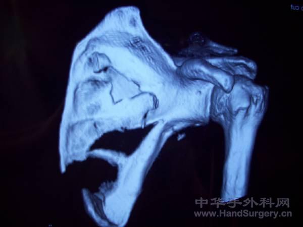 照片 058.jpg