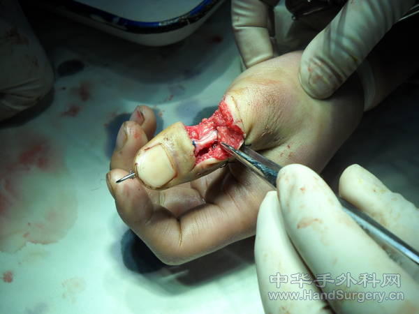 DSCN0650[1].jpg