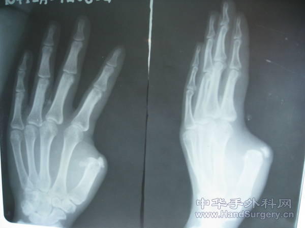 爱 790.jpg