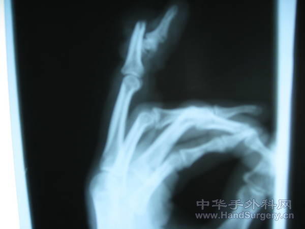 照片 340.jpg