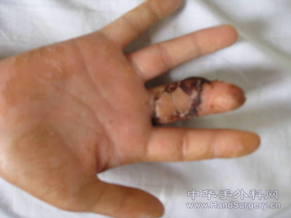 照片 362.jpg