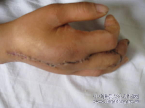 照片 363.jpg