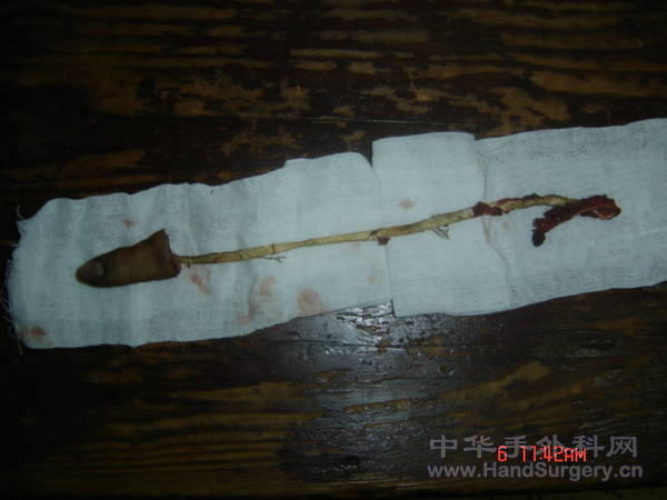 照片 001.jpg