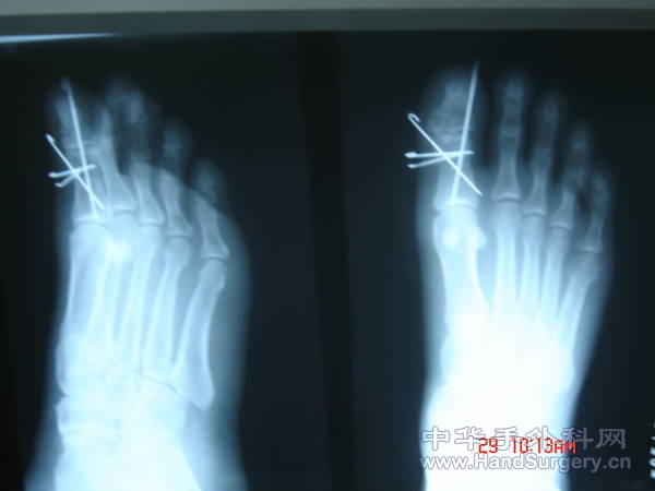 照片 012.jpg
