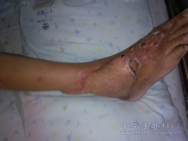 20110210072.jpg