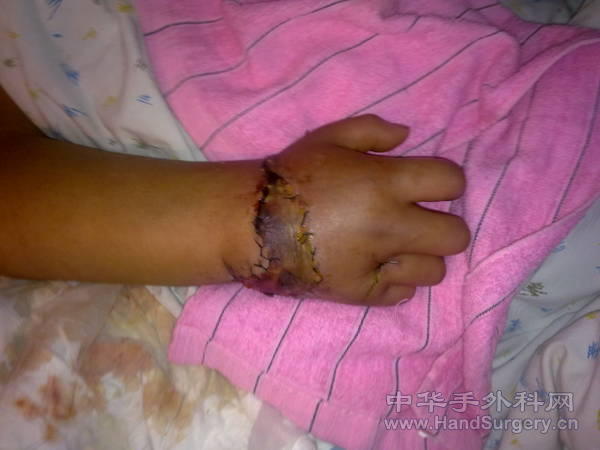 20110209069.jpg