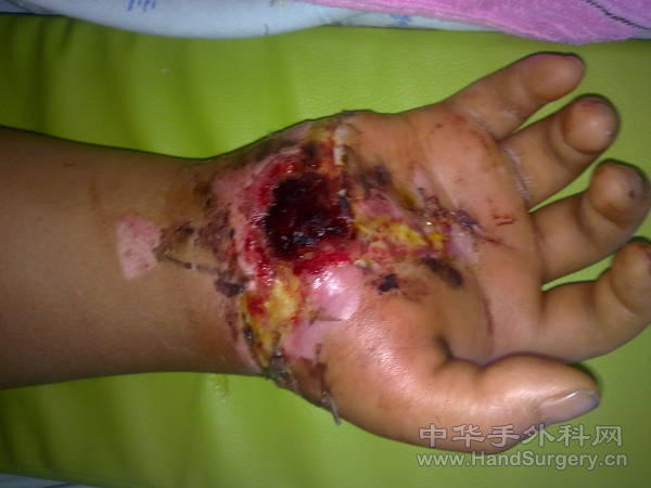 20110215079.jpg