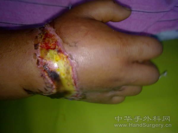 20110215080.jpg