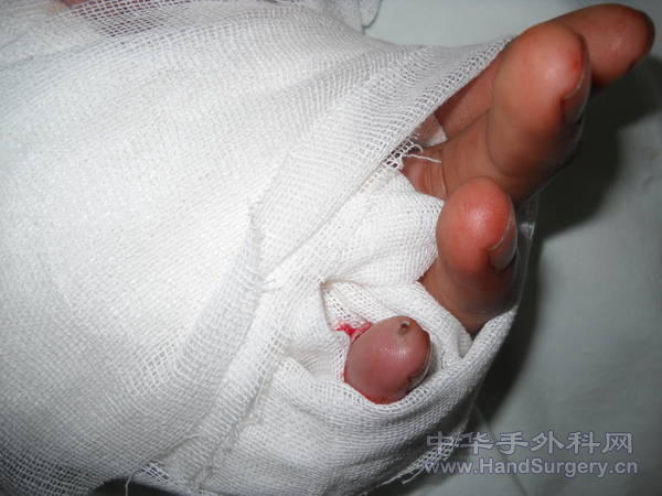 DSCN0628.jpg