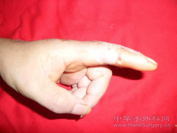 图片5.jpg