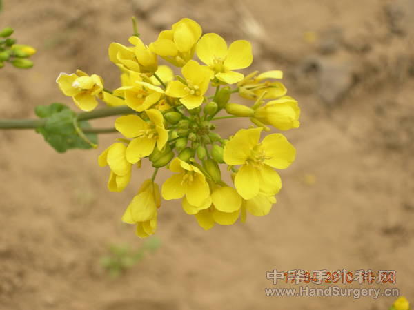 DSCN4334.JPG
