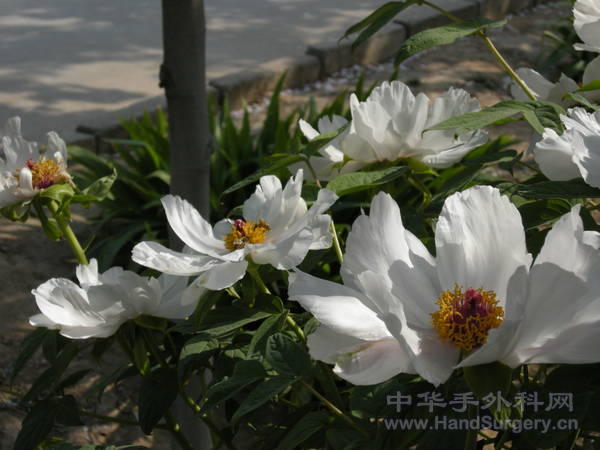DSCN0842.JPG