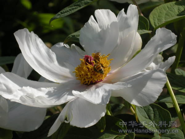 RSCN0891.JPG