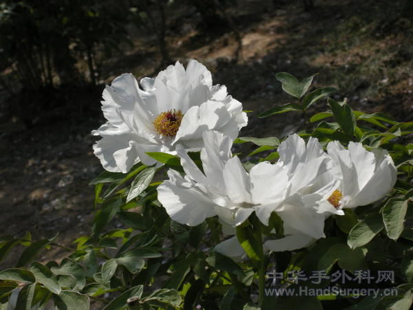 DSCN0846.JPG